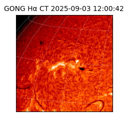 gong - 2025-09-03T12:00:42