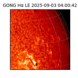 gong - 2025-09-03T04:00:42