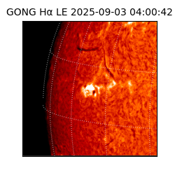 gong - 2025-09-03T04:00:42