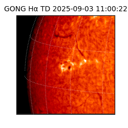 gong - 2025-09-03T11:00:22