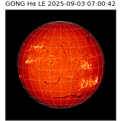 gong - 2025-09-03T07:00:42