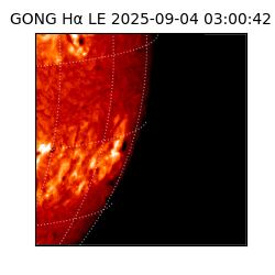 gong - 2025-09-04T03:00:42