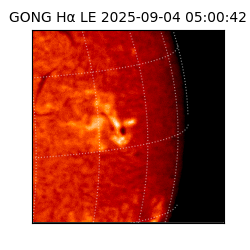 gong - 2025-09-04T05:00:42