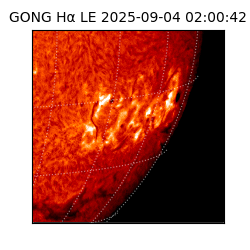 gong - 2025-09-04T02:00:42