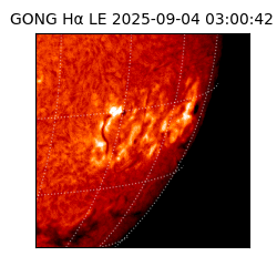 gong - 2025-09-04T03:00:42