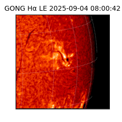 gong - 2025-09-04T08:00:42