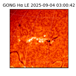 gong - 2025-09-04T03:00:42