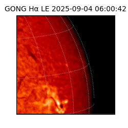 gong - 2025-09-04T06:00:42