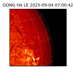 gong - 2025-09-04T07:00:42