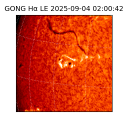 gong - 2025-09-04T02:00:42