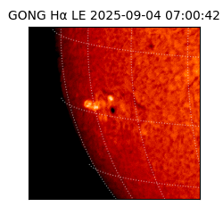gong - 2025-09-04T07:00:42