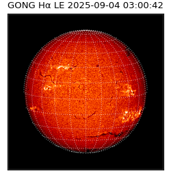 gong - 2025-09-04T03:00:42