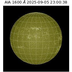 saia - 2025-09-05T23:00:38.126000