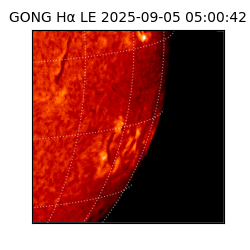 gong - 2025-09-05T05:00:42