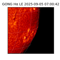 gong - 2025-09-05T07:00:42