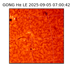 gong - 2025-09-05T07:00:42