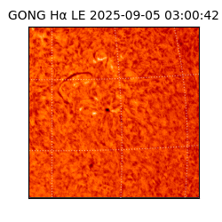 gong - 2025-09-05T03:00:42