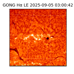 gong - 2025-09-05T03:00:42