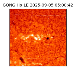 gong - 2025-09-05T05:00:42