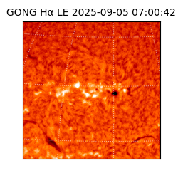 gong - 2025-09-05T07:00:42