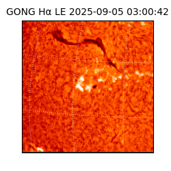 gong - 2025-09-05T03:00:42