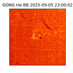 gong - 2025-09-05T23:00:02