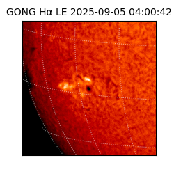 gong - 2025-09-05T04:00:42