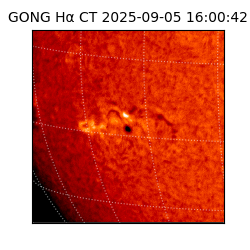 gong - 2025-09-05T16:00:42