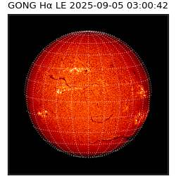 gong - 2025-09-05T03:00:42