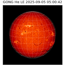gong - 2025-09-05T05:00:42