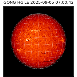 gong - 2025-09-05T07:00:42
