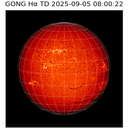 gong - 2025-09-05T08:00:22