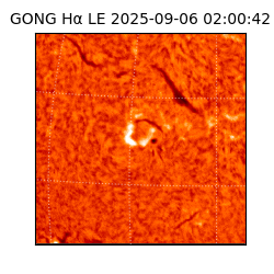 gong - 2025-09-06T02:00:42