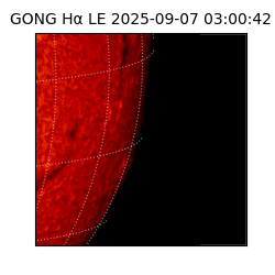 gong - 2025-09-07T03:00:42
