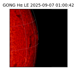 gong - 2025-09-07T01:00:42