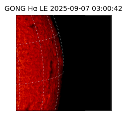 gong - 2025-09-07T03:00:42