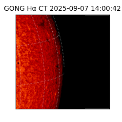 gong - 2025-09-07T14:00:42