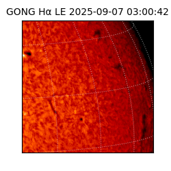 gong - 2025-09-07T03:00:42