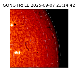 gong - 2025-09-07T23:14:42