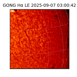 gong - 2025-09-07T03:00:42