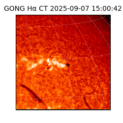 gong - 2025-09-07T15:00:42