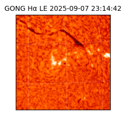 gong - 2025-09-07T23:14:42