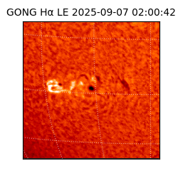 gong - 2025-09-07T02:00:42