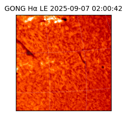 gong - 2025-09-07T02:00:42