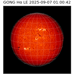 gong - 2025-09-07T01:00:42