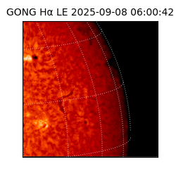 gong - 2025-09-08T06:00:42