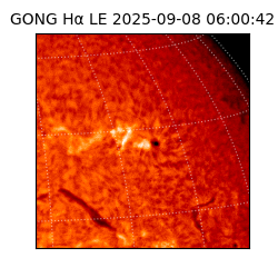 gong - 2025-09-08T06:00:42