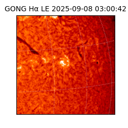 gong - 2025-09-08T03:00:42
