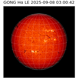 gong - 2025-09-08T03:00:42