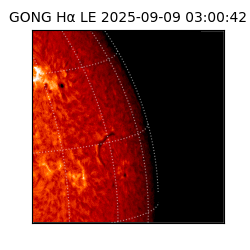 gong - 2025-09-09T03:00:42